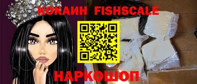 крисы Пенза