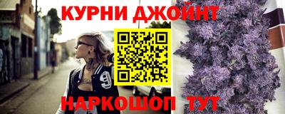 крисы Пенза
