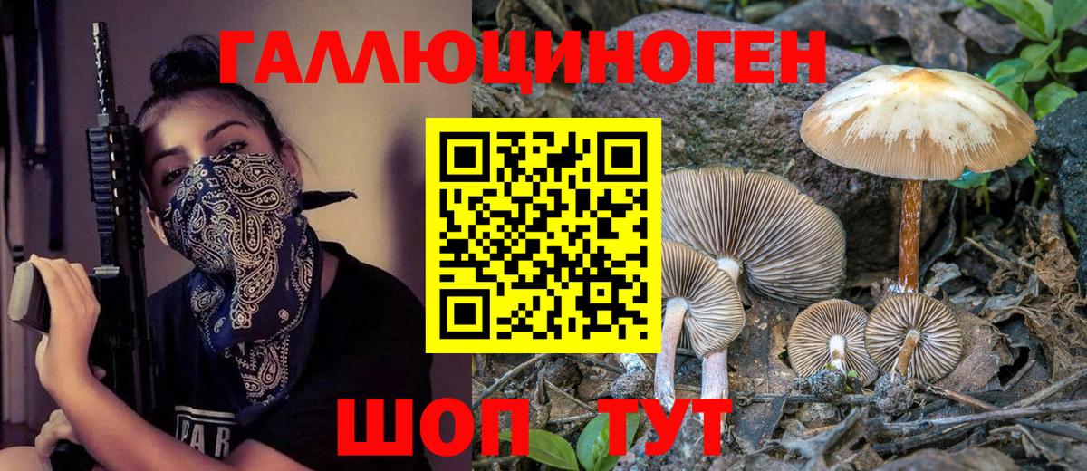 Псилоцибиновые грибы Psilocybine cubensis  Галлюциногенные грибы мухоморы  Вход с VPN  Славгород 