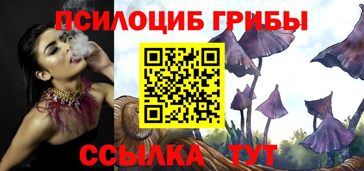 Псилоцибиновые грибы Psilocybine cubensis Славгород